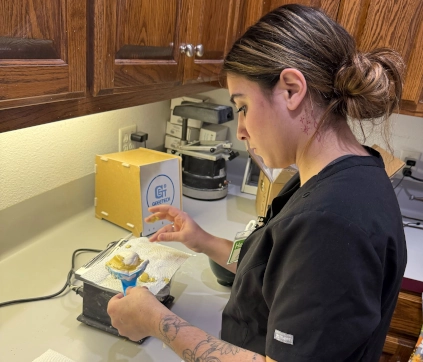 Georgetown Dental Assistant student focused while pouring dental models during hands-on lab session
