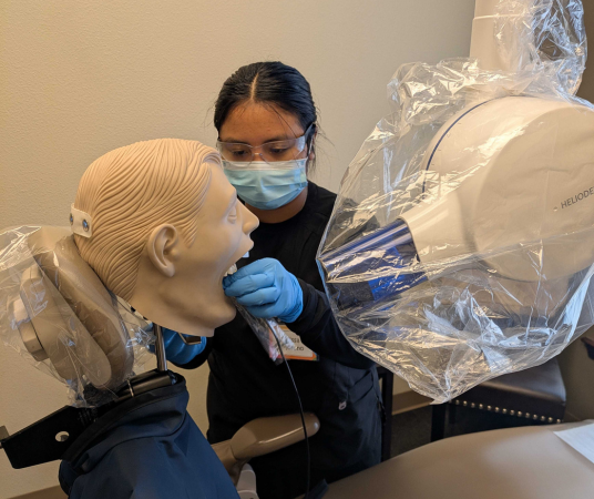Dental assistant student training at Provo Dental Assistant School