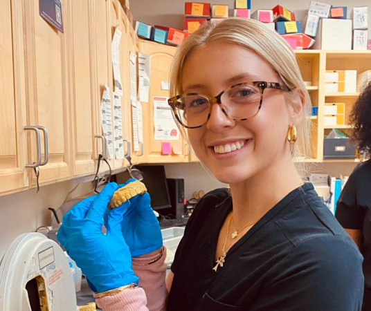 Dental assistant student training at Provo Dental Assistant School