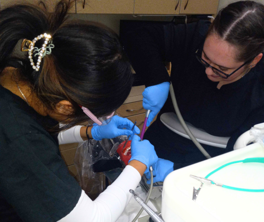 Dental assistant student training at Provo Dental Assistant School